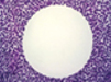 Radius&trade; 24-Well Cell Migration Assay