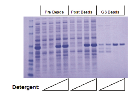 AKR-110%20Fig%202.jpg