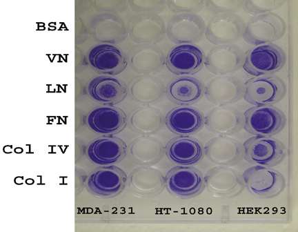 CBA-070%20Fig%201.jpg