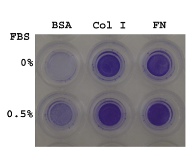 CBA-100-COL%20Fig%201.jpg