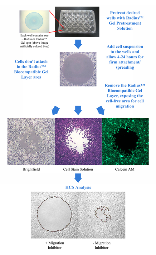 CBA-125%20Fig%201.jpg