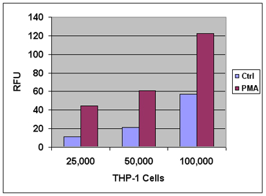 CBA-210%20Fig%202.jpg