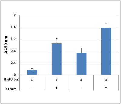 CBA-251%20Fig%202.jpg