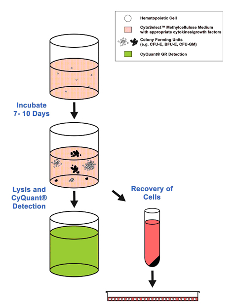 CBA-320%20Fig%201_0.jpg