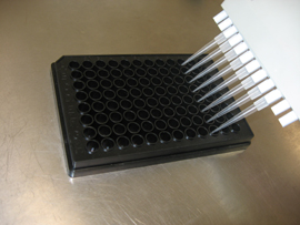 Hydrogen Sulfide Gas Assay