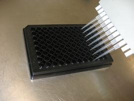 Lipid Quantification Kit (neutral lipids)