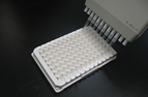 In Vitro Nitric Oxide Assays