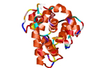 Protein Oxidation / Nitration