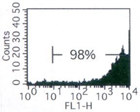 RV-101%20Fig%201_0.jpg