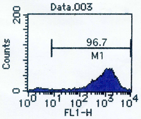 RV-101%20Fig%202_0.jpg