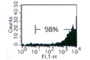 Platinum-A (Plat-A) Retroviral Packaging Cell Line