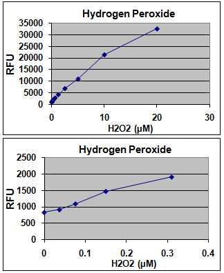 STA-347%20Fig%202.jpg