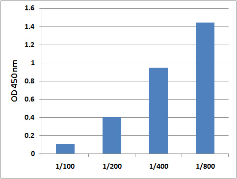 STA-380%20Fig%202.jpg