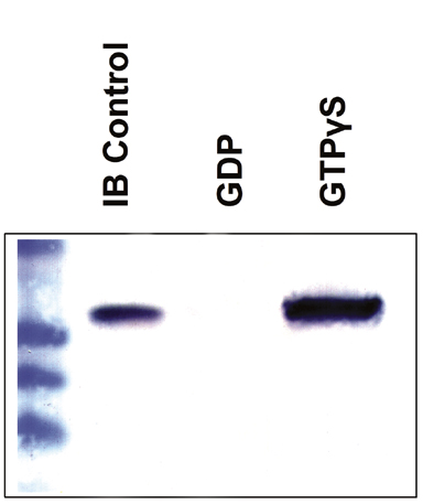 STA-400%20Fig%202.jpg