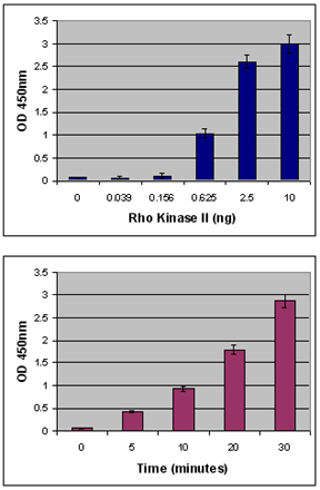 STA-416%20Fig%202.jpg