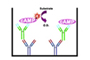 Cyclic AMP Assays