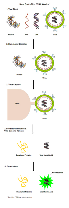 VPK-106%20Fig%201.jpg