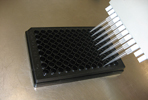 Magnesium Assay Kit