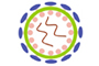 RSV Nucleoprotein ELISA Kit