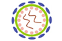 Human Cytomegalovirus Glycoprotein B (HCMV gB) ELISA Kit