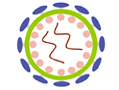 West Nile Virus Envelope Protein ELISA Kit